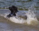 20130825-awd-0308