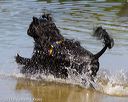 20130825-awd-0328
