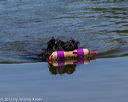 20130825-awd-0334