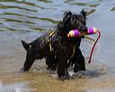 20130825-awd-0335