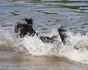 20130825-awd-0382