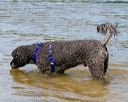 20130825-awd-0438