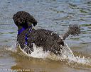 20130825-awd-0479