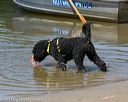 20130825-awd-0512