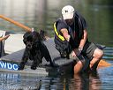 20130825-cwd-0022