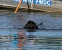 20130825-cwd-0026