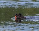 20130825-cwd-0058