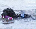20130825-cwd-0060