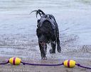 20130825-cwd-0090