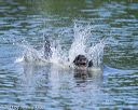 20130825-cwd-0125