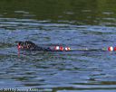 20130825-cwd-0127