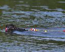 20130825-cwd-0129