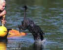 20130825-cwd-0136