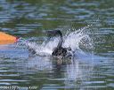 20130825-cwd-0138