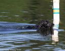 20130825-cwd-0139