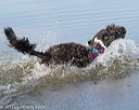 20130825-cwd-0143