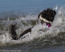 20130825-cwd-0146