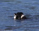 20130825-cwd-0155