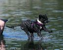 20130825-cwd-0162