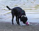 20130825-cwd-0181
