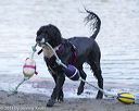 20130825-cwd-0186