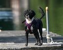 20130825-cwd-0198