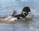20130825-cwd-0205