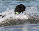 20130825-cwd-0212