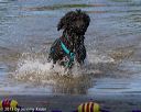 20130825-cwd-0244