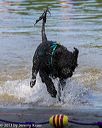 20130825-cwd-0246
