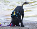 20130825-cwd-0250