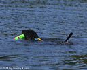 20130825-cwd-0277