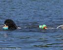20130825-cwd-0288