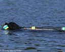 20130825-cwd-0290