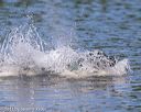 20130825-cwd-0298