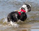 20130825-cwd-0305