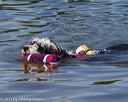 20130825-cwd-0309