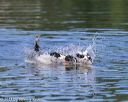 20130825-cwd-0323