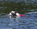 20130825-cwd-0325
