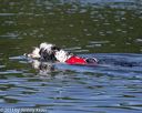 20130825-cwd-0327