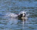 20130825-cwd-0364
