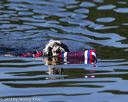 20130825-cwd-0366