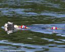 20130825-cwd-0381