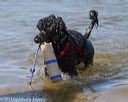 20130825-cwd-0386