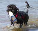 20130825-cwd-0388