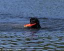 20130825-cwd-0401