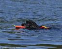 20130825-cwd-0405