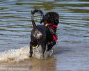 20130825-cwd-0429