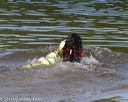 20130825-cwd-0434