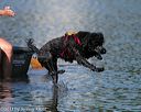 20130825-cwd-0440